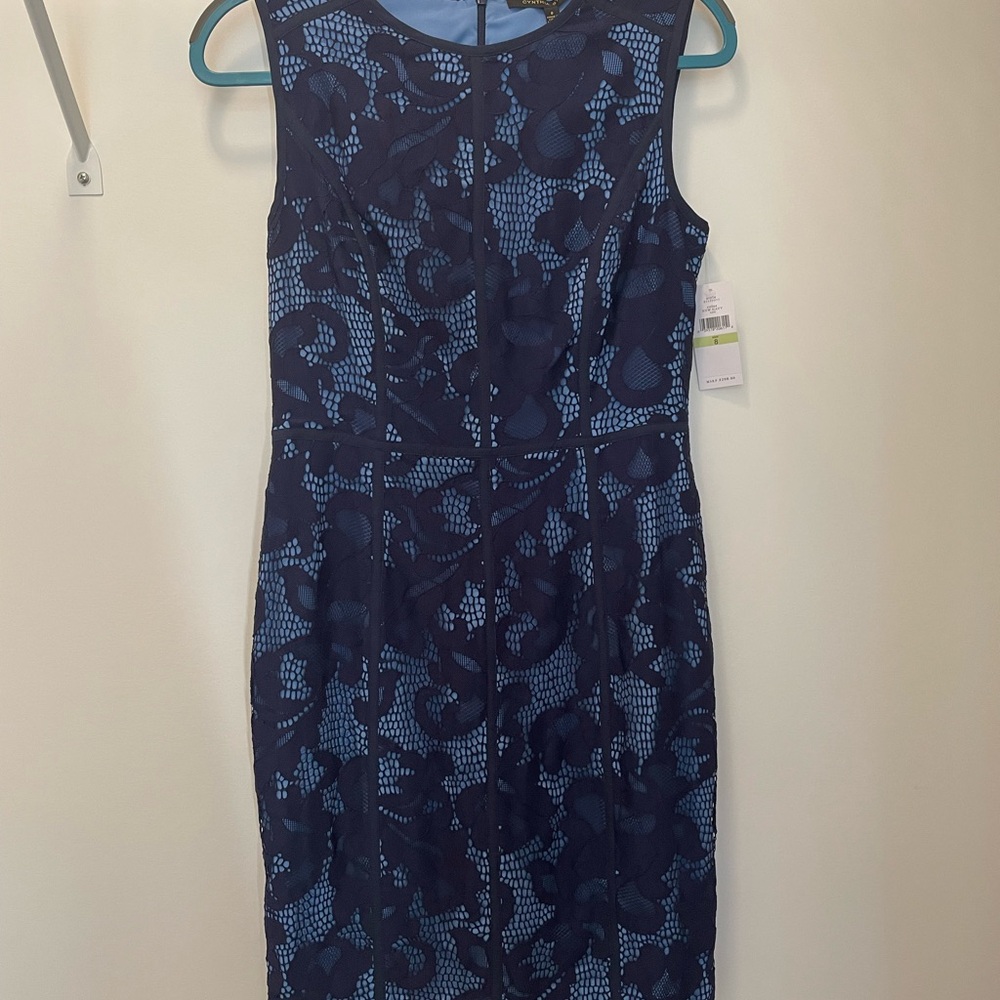 Cynthia Steffe Navy and Light Blue Lace Midi Dress